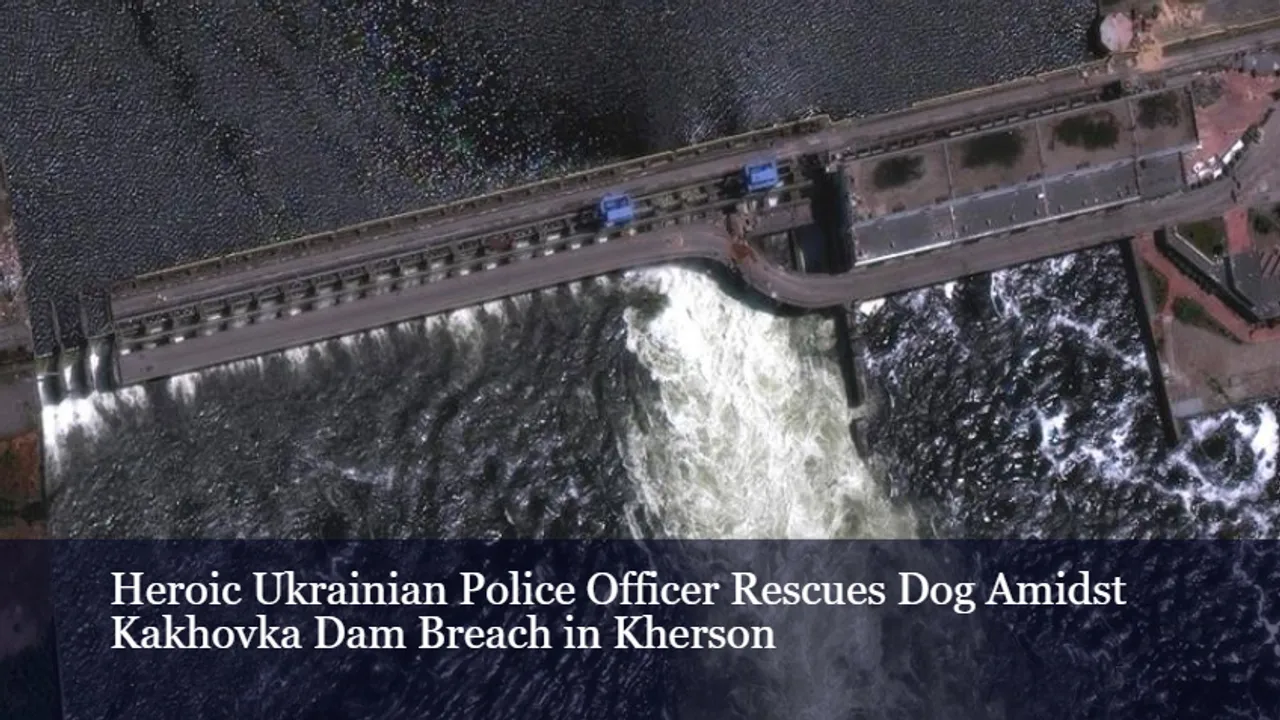 Heroic Ukrainian Police Officer Rescues Dog Amidst Kakhovka Dam Breach in Kherson