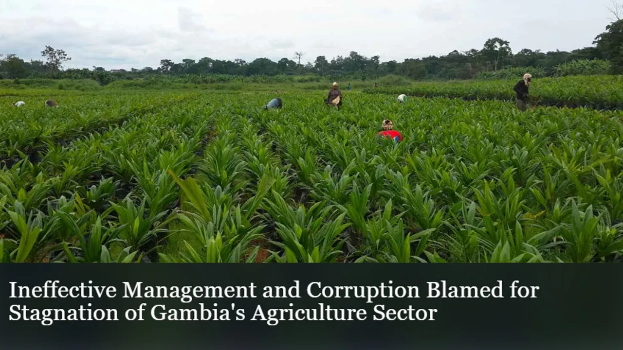 Farmers in The Gambia
<br>
Image Credit: Africa Development Bank
