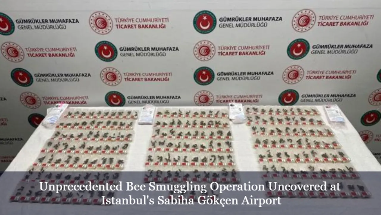 Unprecedented Bee Smuggling Operation Uncovered at Istanbul's Sabiha Gökçen Airport