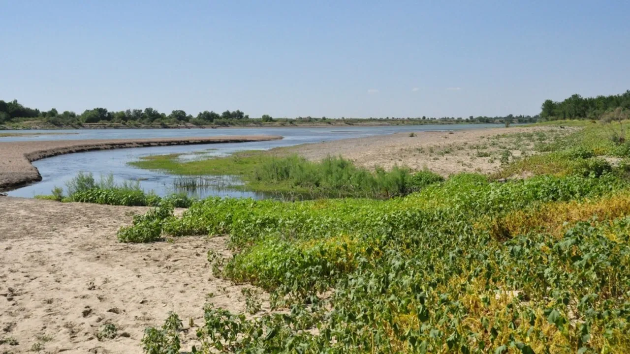 Dreadful Tragedy Strikes: Eleven Lives Lost in a Heart-Wrenching