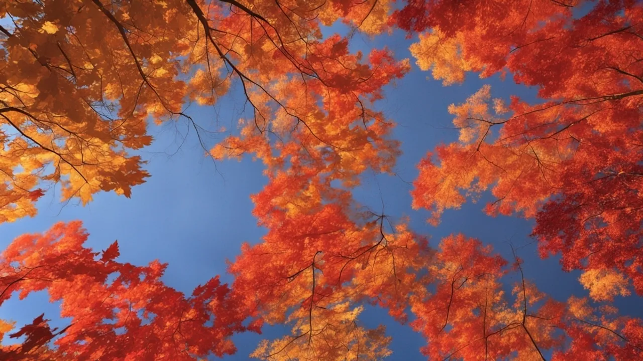 embracing-autumn-weather-forecasts-and-what-they-mean-for-you