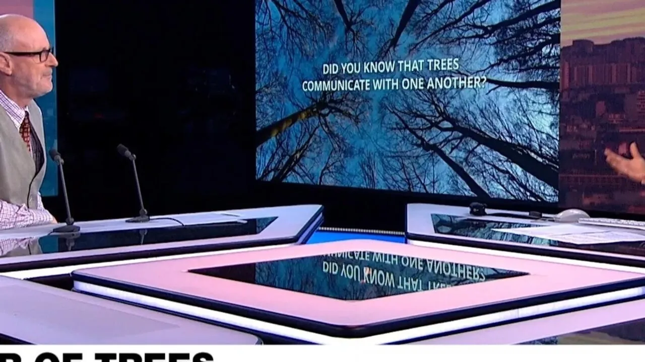 Uncovering the Hidden Life of Trees A Closer Look at Nature’s Silent