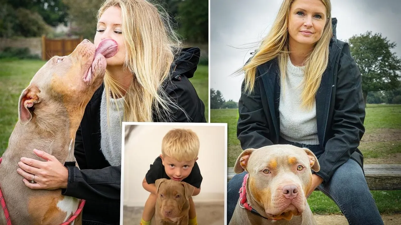 Unleashed Fury A Surge in Dog Attacks Plagues England