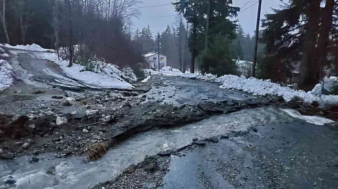 Landslide in Alaska A Devastating Disaster Strikes Without Warning