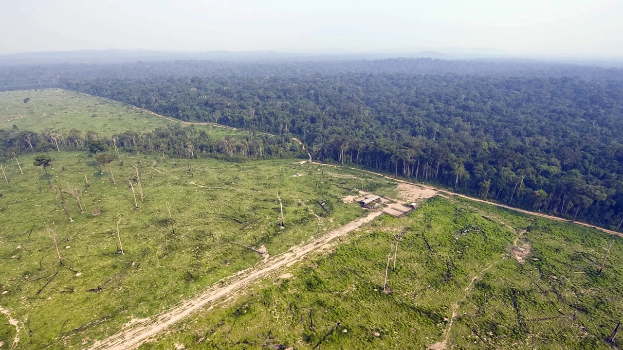 Fluctuating Financial Markets and Speculations of Amazon's Expansion in