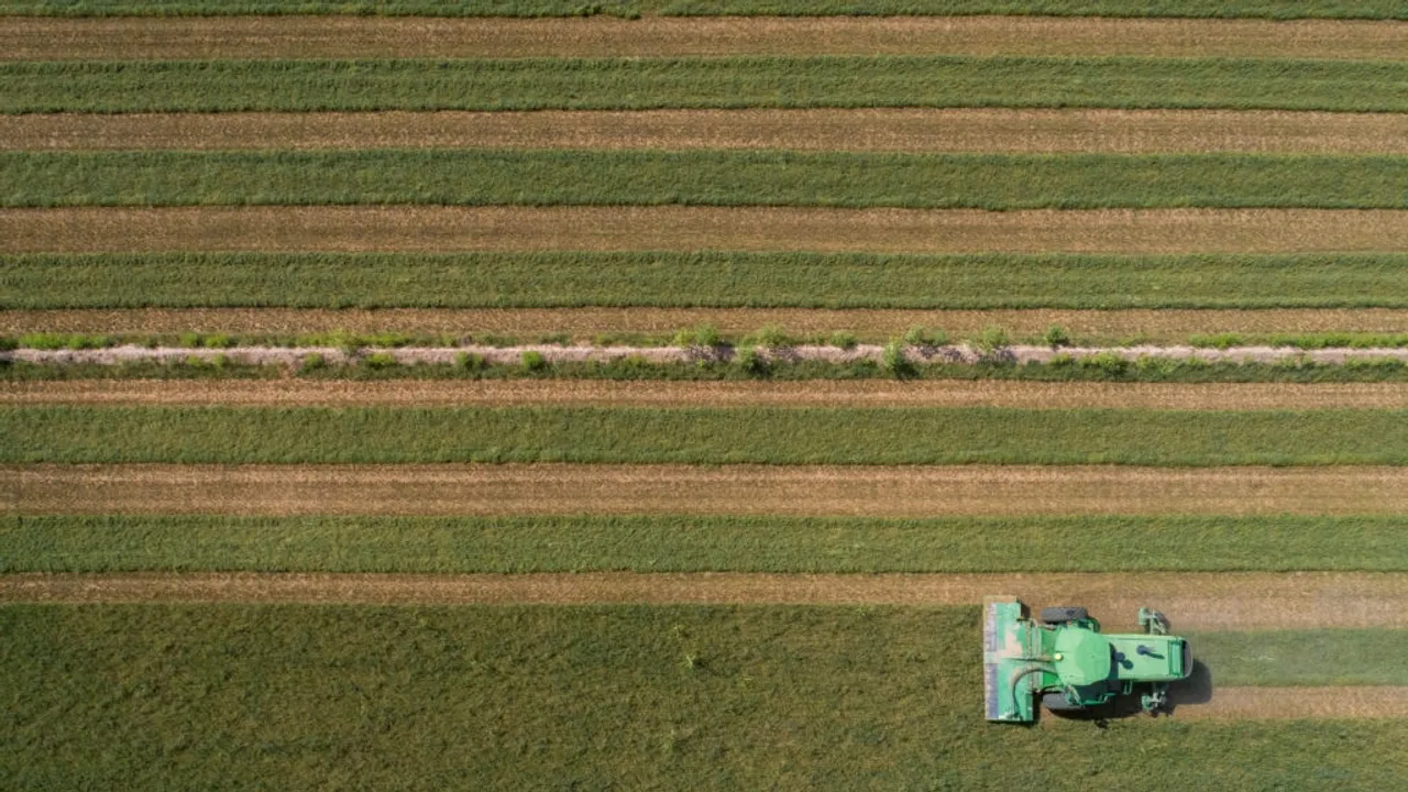Arizona Alfalfa Farming: A Tale of Resilience Amid Water Scarcity and Climate Change