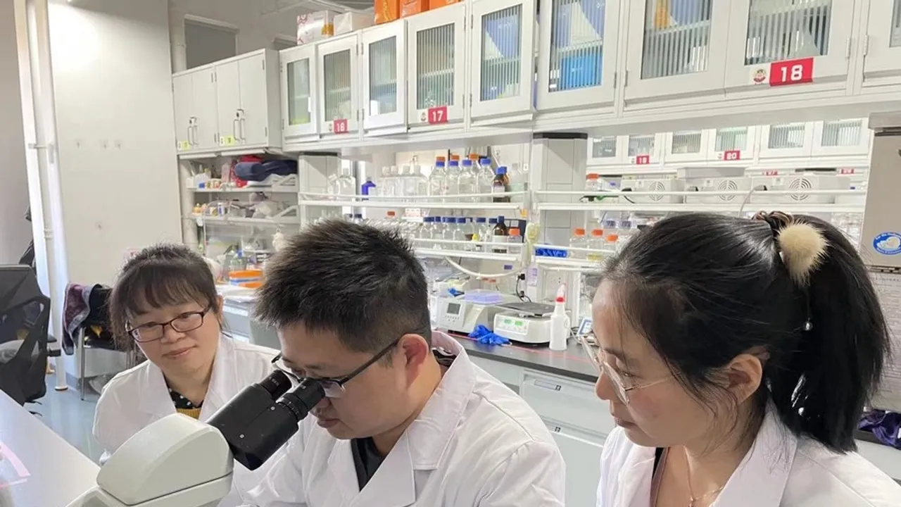 Chinese Scientists Unearth Cell Subtype Accelerating Ageing: Vitamin C Shows Anti-Ageing Effects