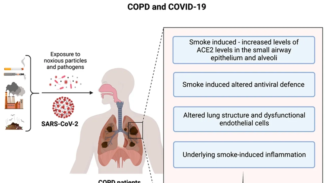 The Future of Pandemics and the Lingering Effects of Covid-19