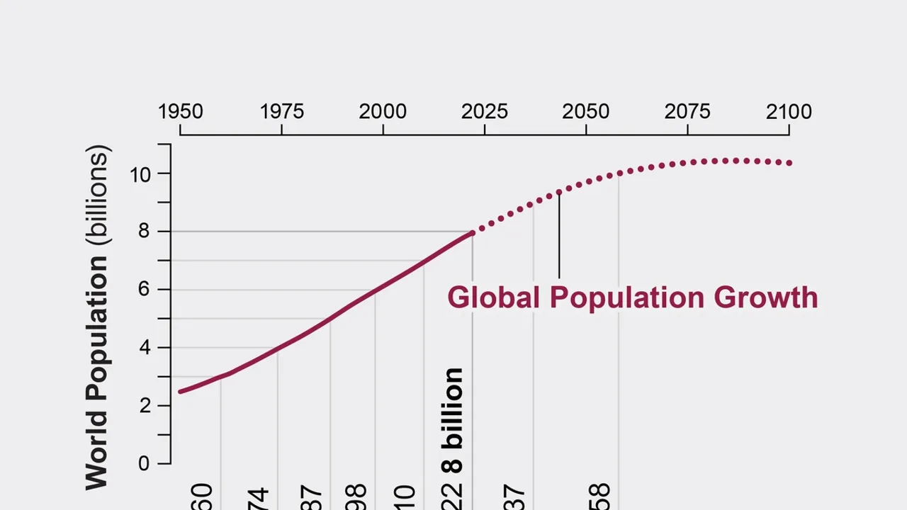 Global Population Crosses 8 Billion Unpacking the Implications