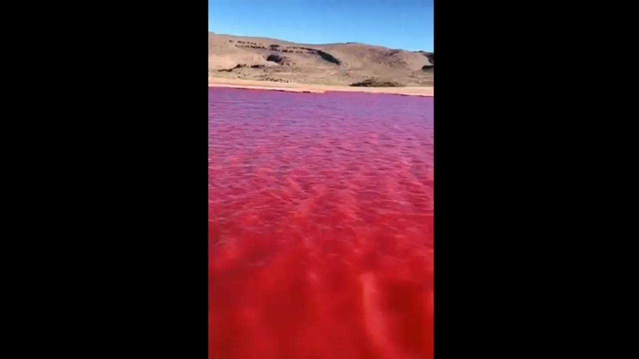 Nile River Turns Red Algae Bloom or Biblical Plague?