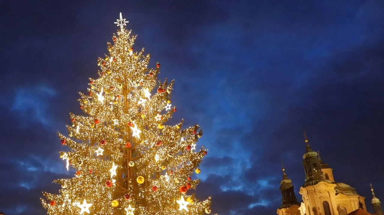 Czech Republic's Seasonal Splendor: A 50-Year-Old Spruce Tree Lights up Prague