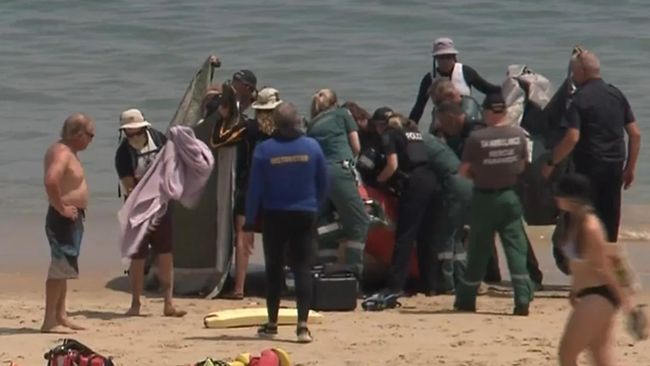 Shark Attack in South Australia: A Call for Balanced Human-Wildlife