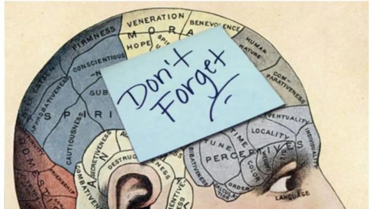 Unlocking the Science of Memory: Techniques to Enhance Short-Term Memory Retention