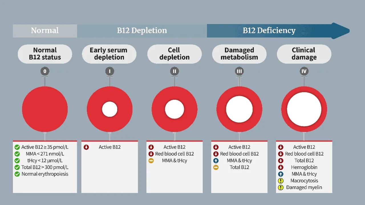 The Silent Onset of Vitamin B12 Deficiency and the Underestimated