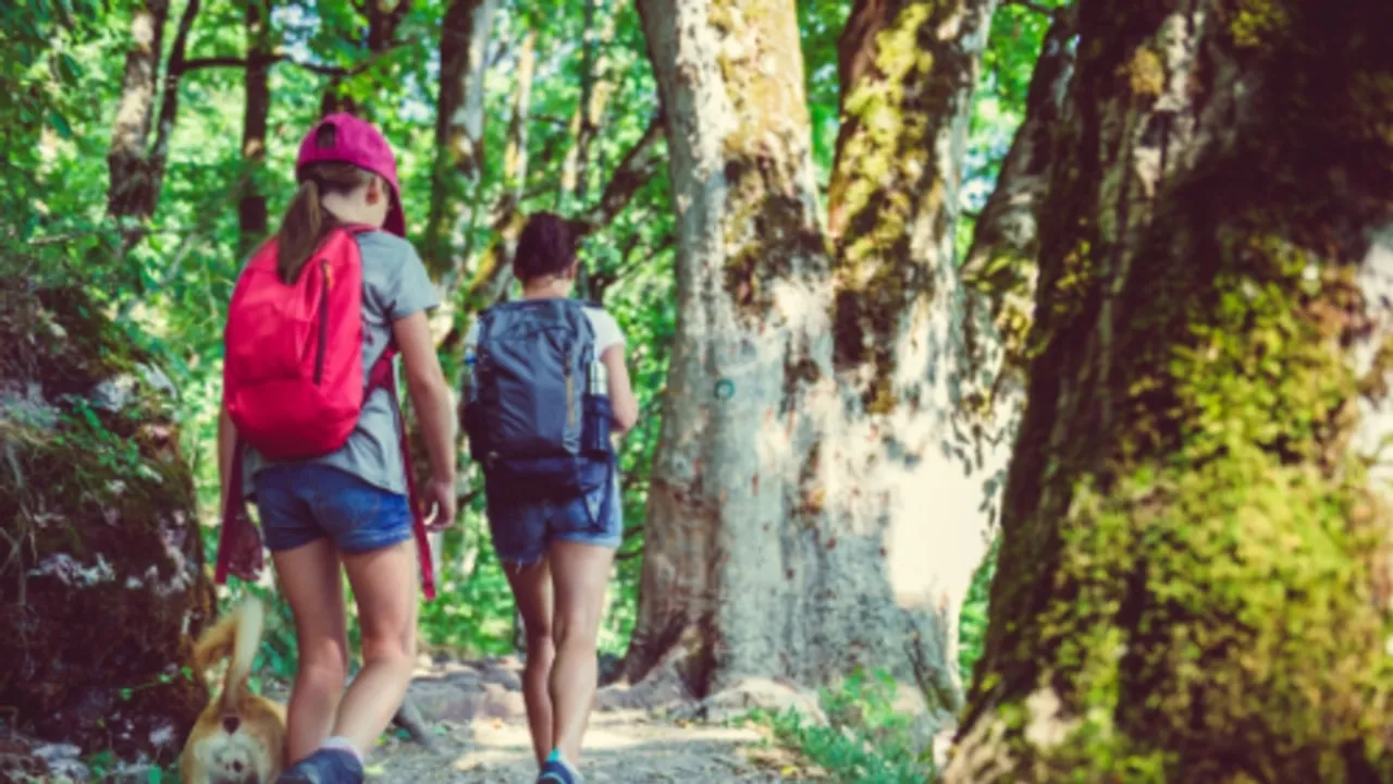 Hiking: A Path to Well-being