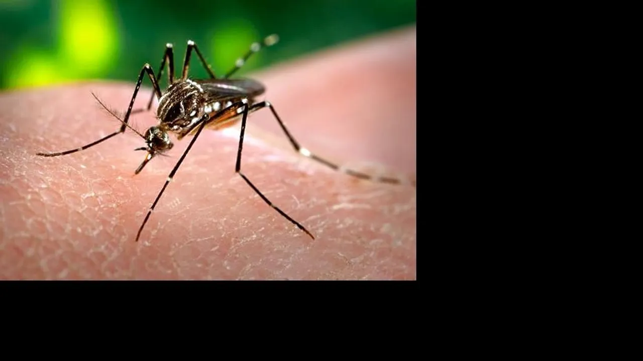 Cuba's Health Minister Acknowledges Serious Dengue Situation Amidst Global Spike