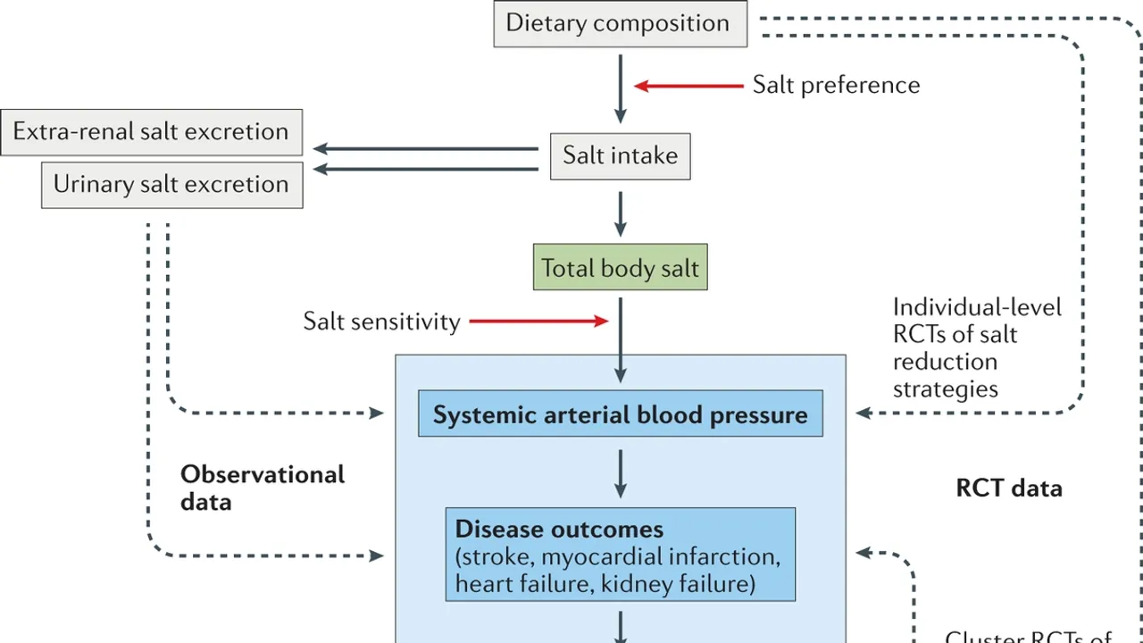 WHO Report: Excessive Salt Intake Fuels Hypertension Surge
