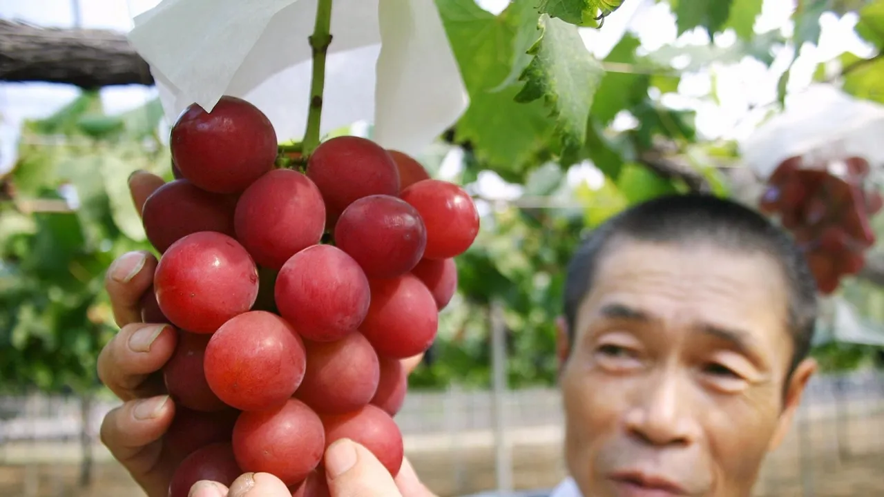 Precious Grapes at Peril: The Fight for Intellectual Property in Agriculture