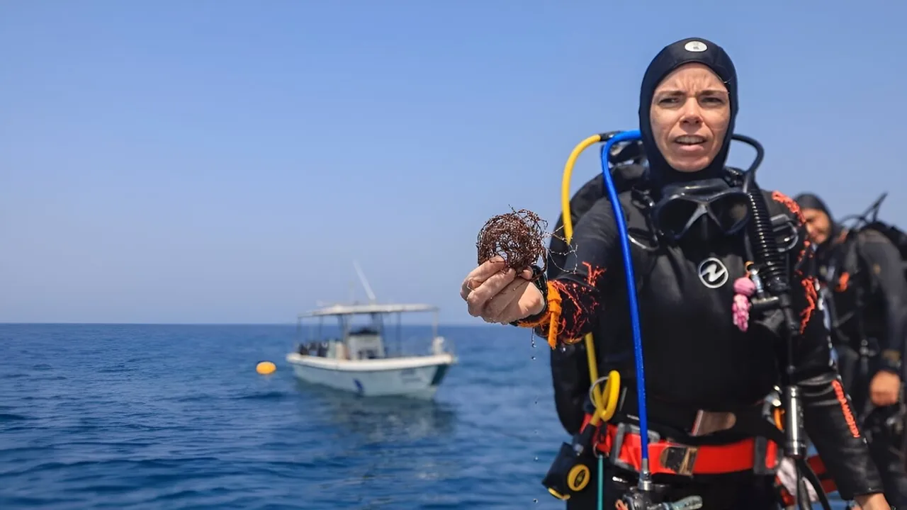 Oman's Volunteer Divers: Guardians of the Resilient Coral Reefs
