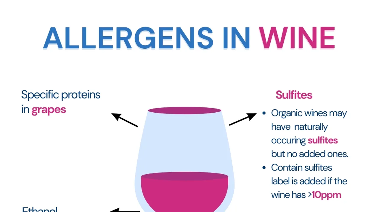 Alcohol Intolerance Versus Allergies Decoding Symptoms and Triggers