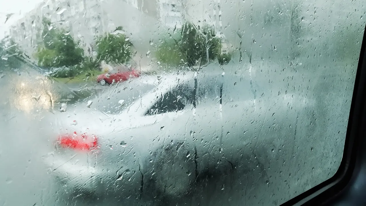 Cat Litter and Tights An Unconventional Hack to Prevent Condensation