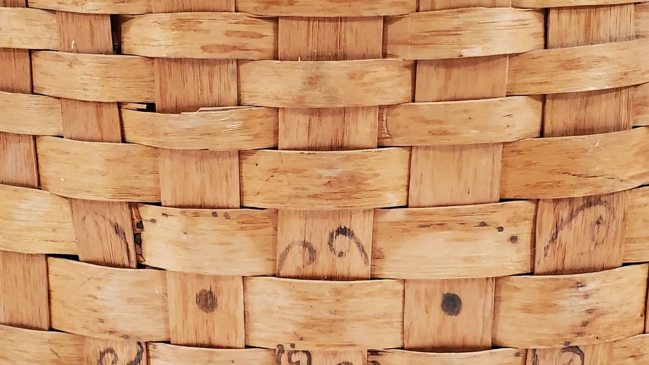 BasketWeaving Class Bridges the Gap in Indigenous Cultural Education Inspired By Ann Paul