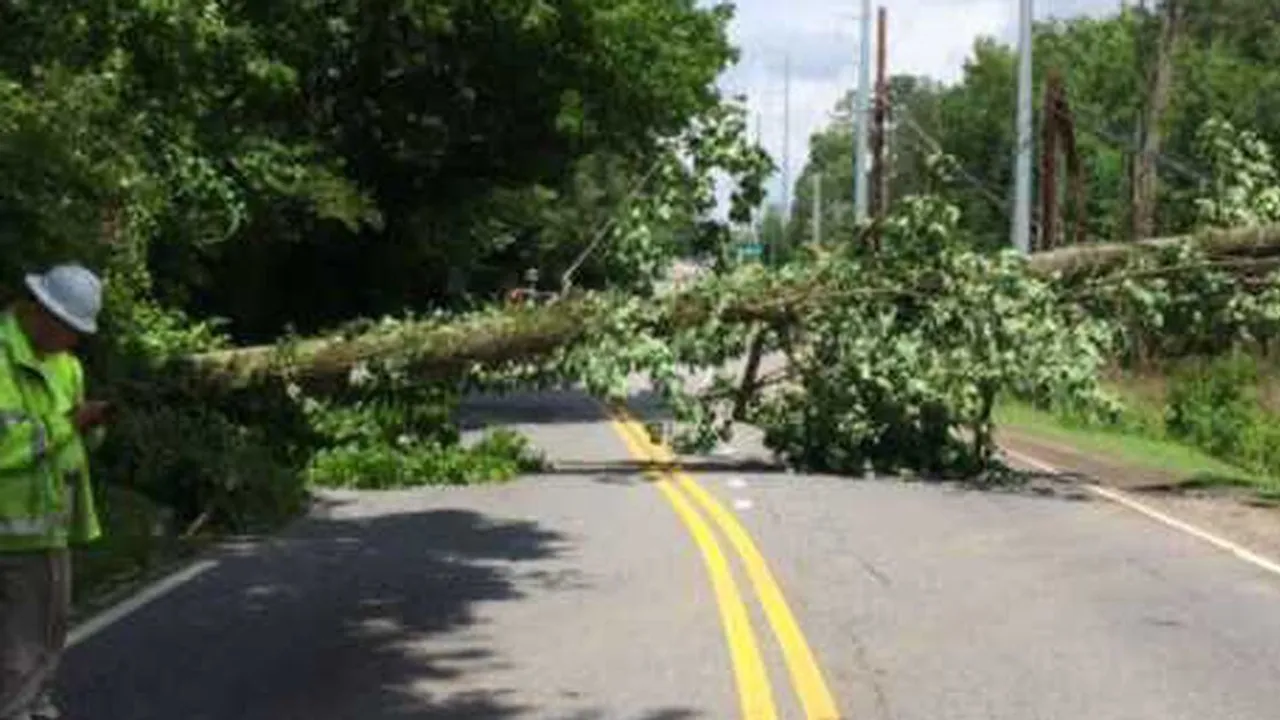 Tree Fall Triggers Power Outage and Road Closure in Sandy Springs,