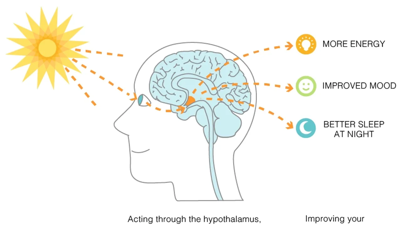 Sunday Light A Breakthrough in Indoor Lighting Mimics Natural Sunlight