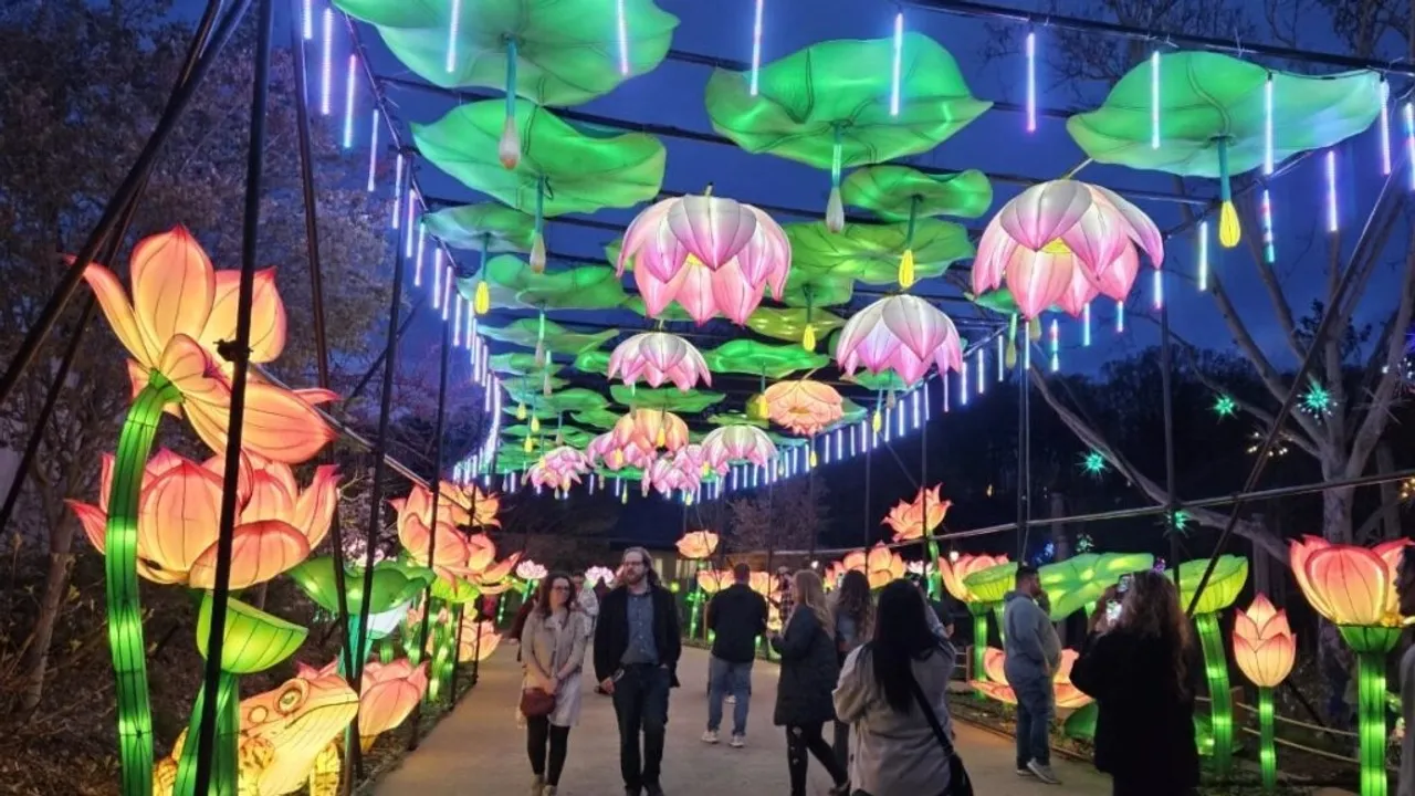 Grand Rapids Lantern Festival Returns to John Ball Zoo A Celebration