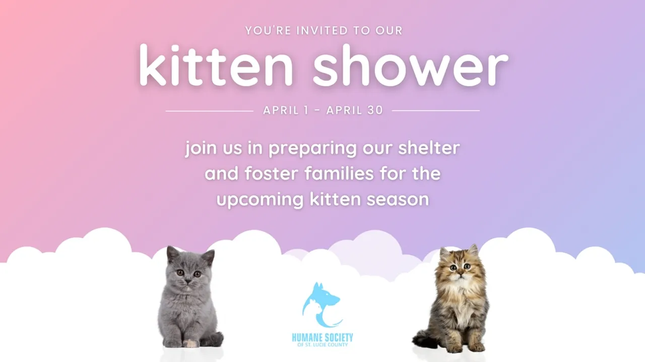 Utah's Salt Lake County Animal Services Gears Up for 2024 Kitten Season with Virtual 'Kitten Shower'