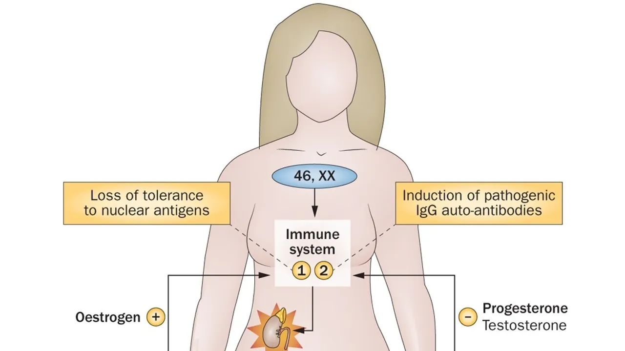 Stanford Study Reveals X Chromosome's Role in Women's Higher Autoimmune Disease Incidence
