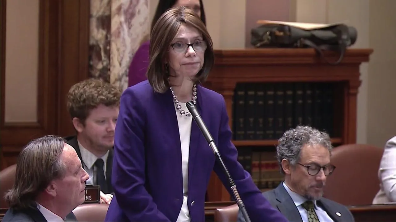 Kari Dziedzic Breaks Glass Ceiling as First Democratic Woman Senate