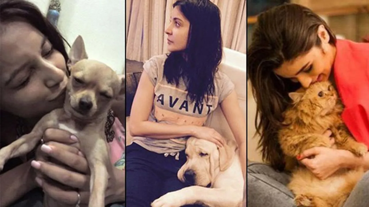 Bollywood's Love for Animals