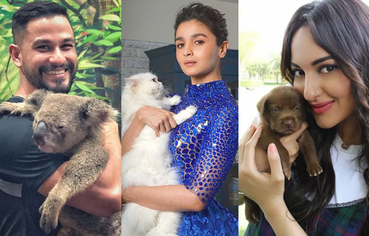 CELEBRITY OBSESSION: HERE'S THE PROOF, ANIMAL SELFIES ARE THE NEW JAM FOR BOLLYWOOD CELEBRITIES