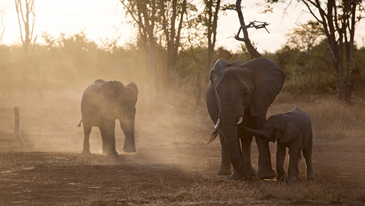 Forevermark launches six-part short film series ‘Moving Giants'