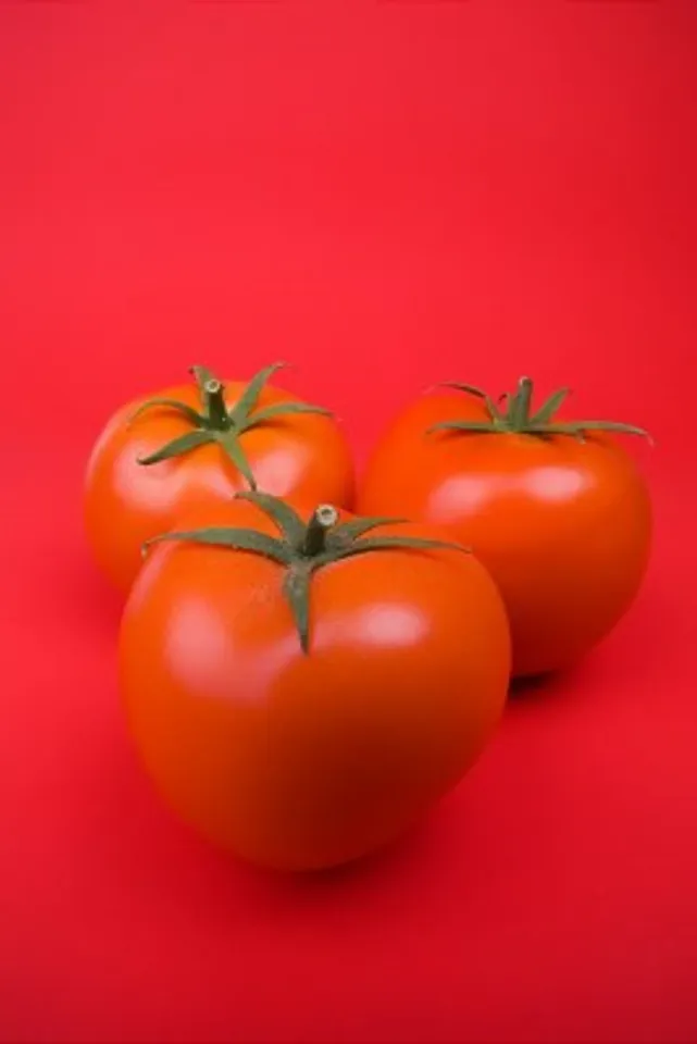 Different tomatoes from Kagome this season