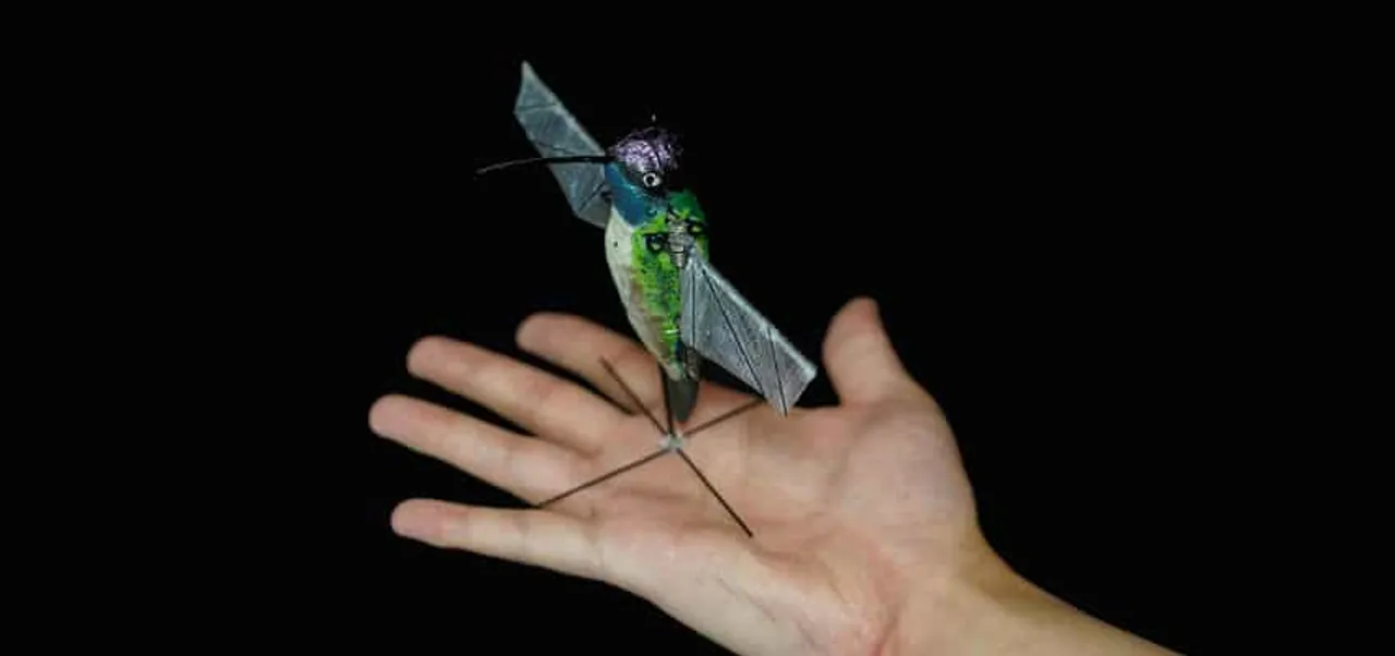 Hummingbird Robot using AI to go soon where drones can’t