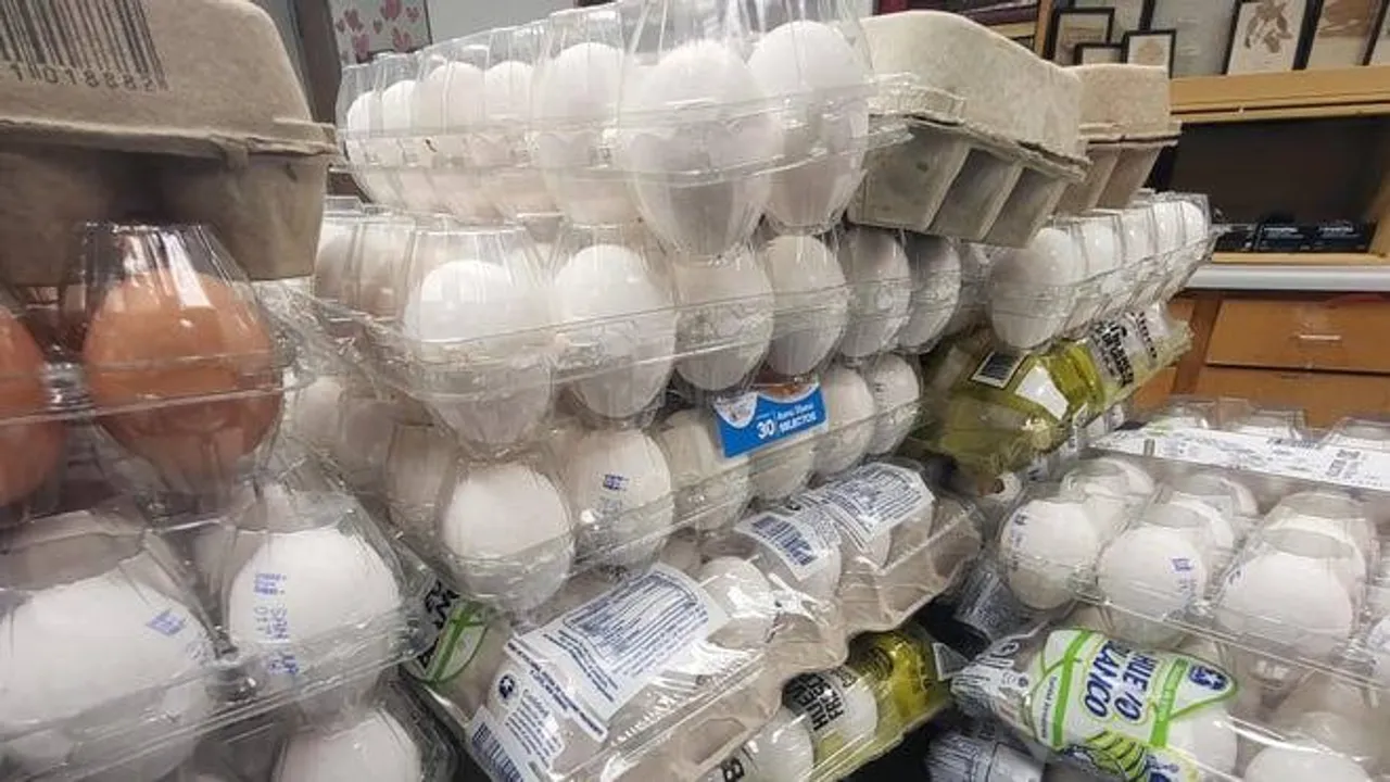 29% rise in egg detentions as CBP targets illegal smuggling from Mexico