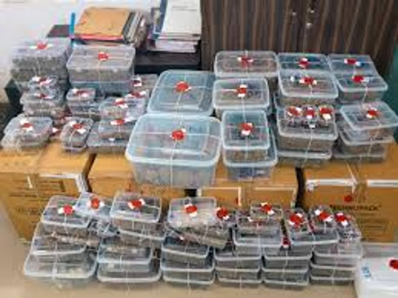 Drugs worth ₹3.5 crore smuggled in toys, protein powder seized by Ahmedabad Crime Branch