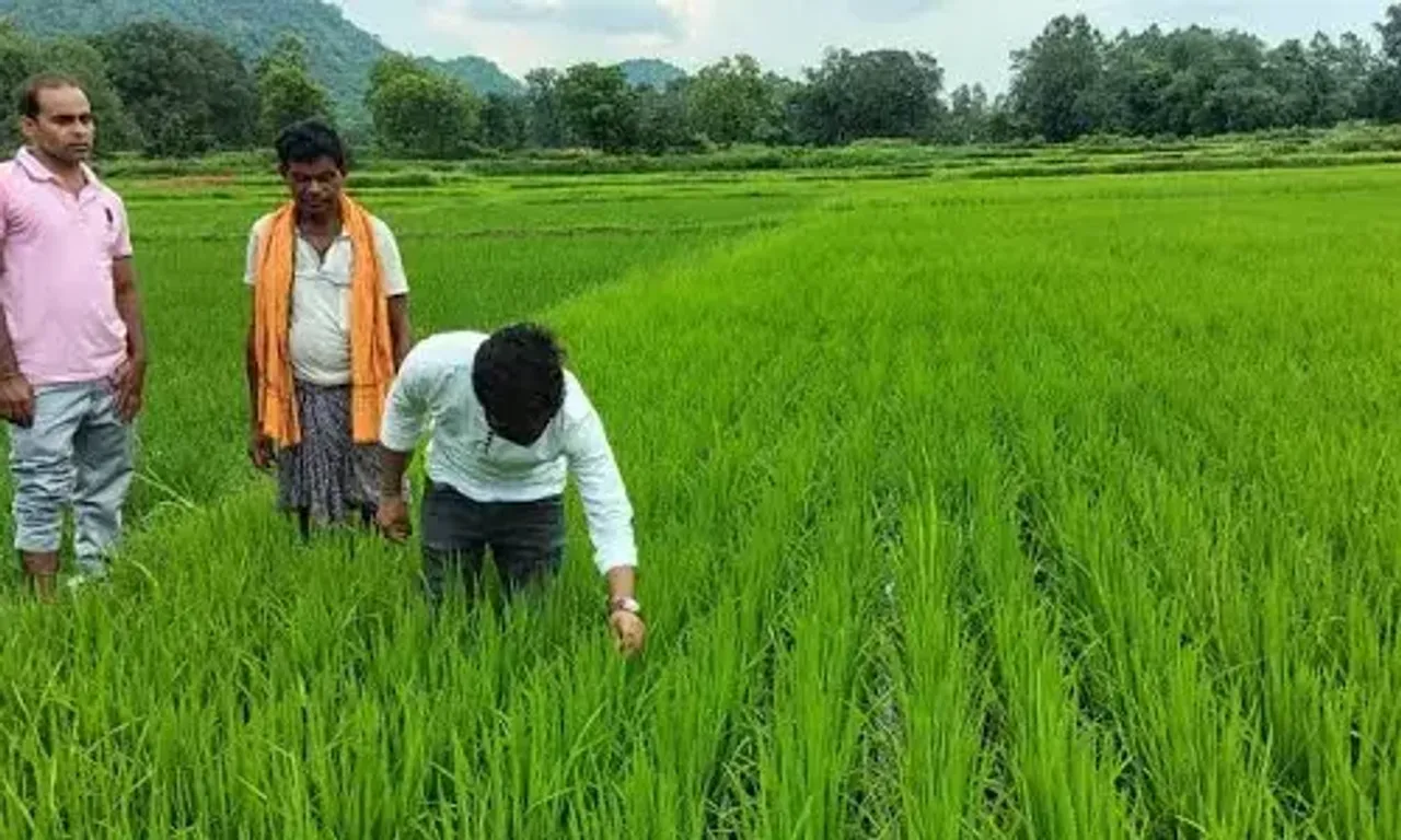 Adani Foundation introduces tribal farmers at ACC Chaibasa site to sustainable irrigation techniques for year-round yield
of Rajasthan