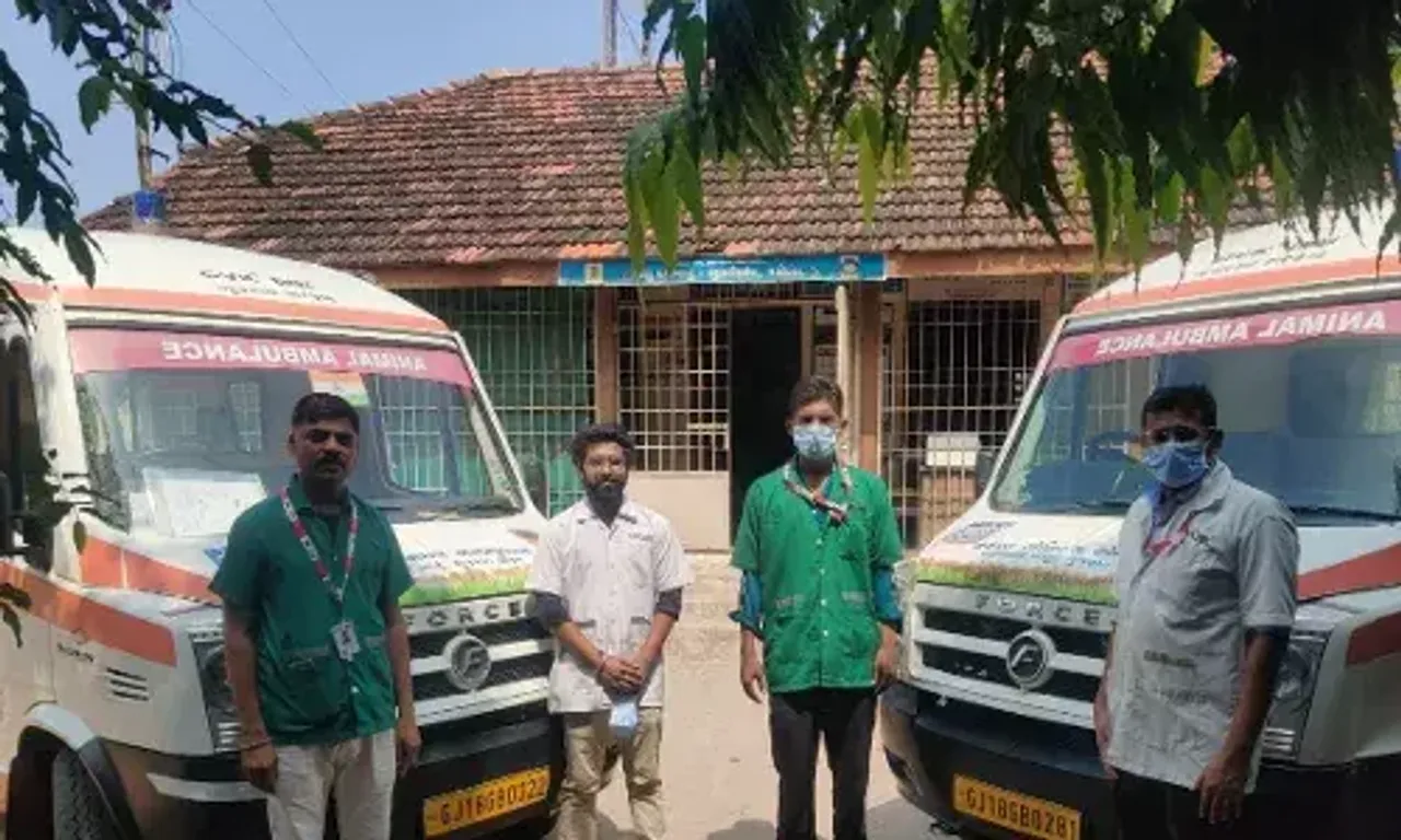 Karuna Ambulance saved the lives of 22,470 animals in last four years in Vadodara district