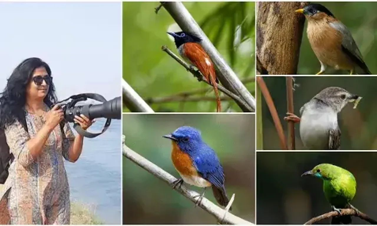 Woman photographer clicked about 200 birds in and outside Vadodara in last six years