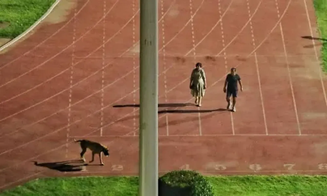 Stadium is emptied, athletes told to leave so that IAS officer can walk with dog
