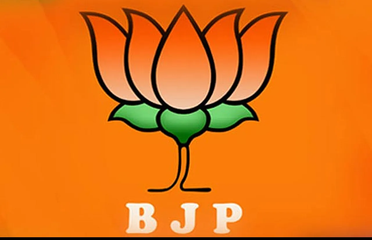 BJP sweeps legislative council polls in UP