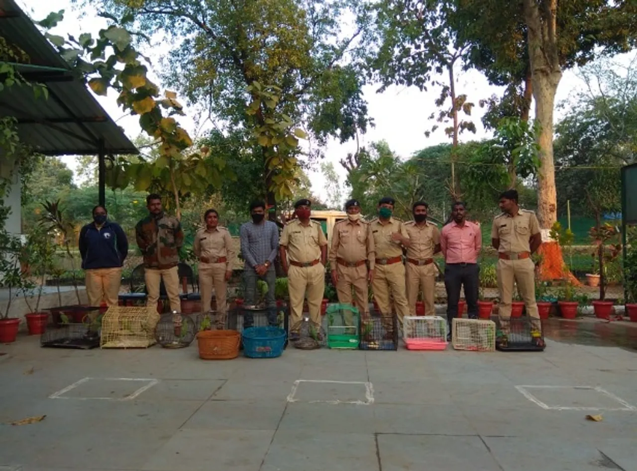 GSPCA and forest department free wildlife animals during raids in different parts of Vadodara city