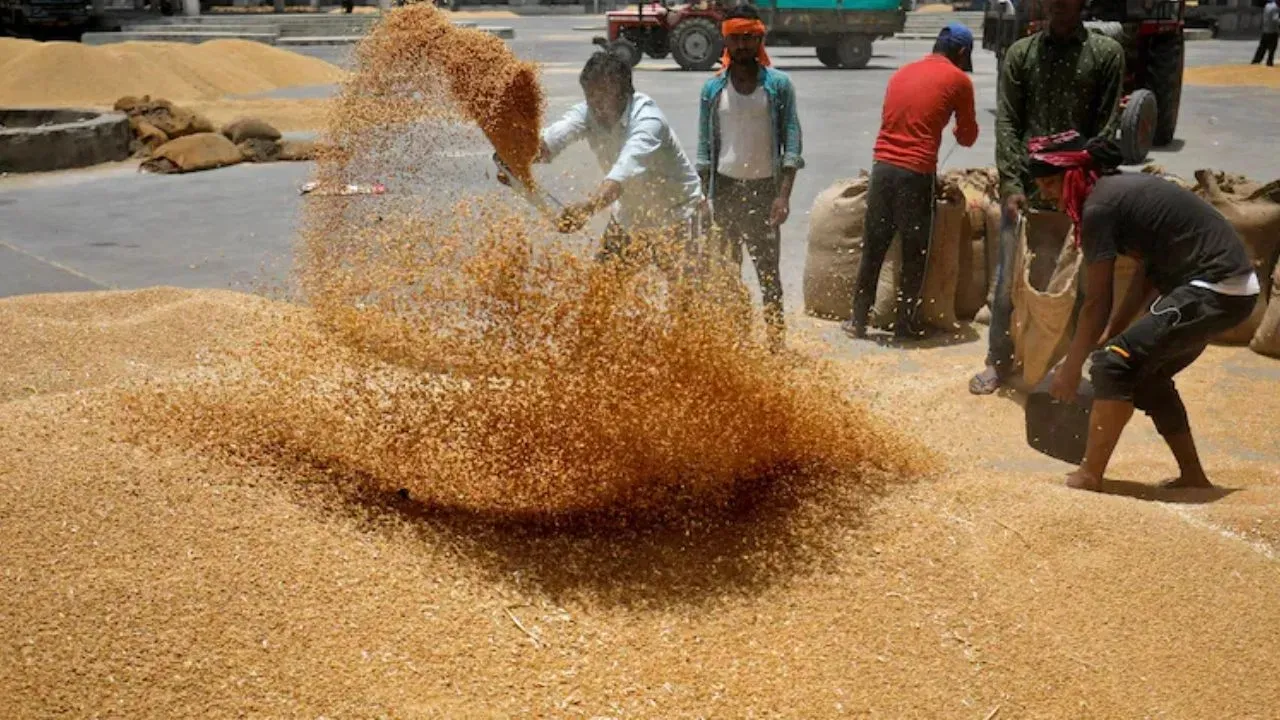 WHEAT