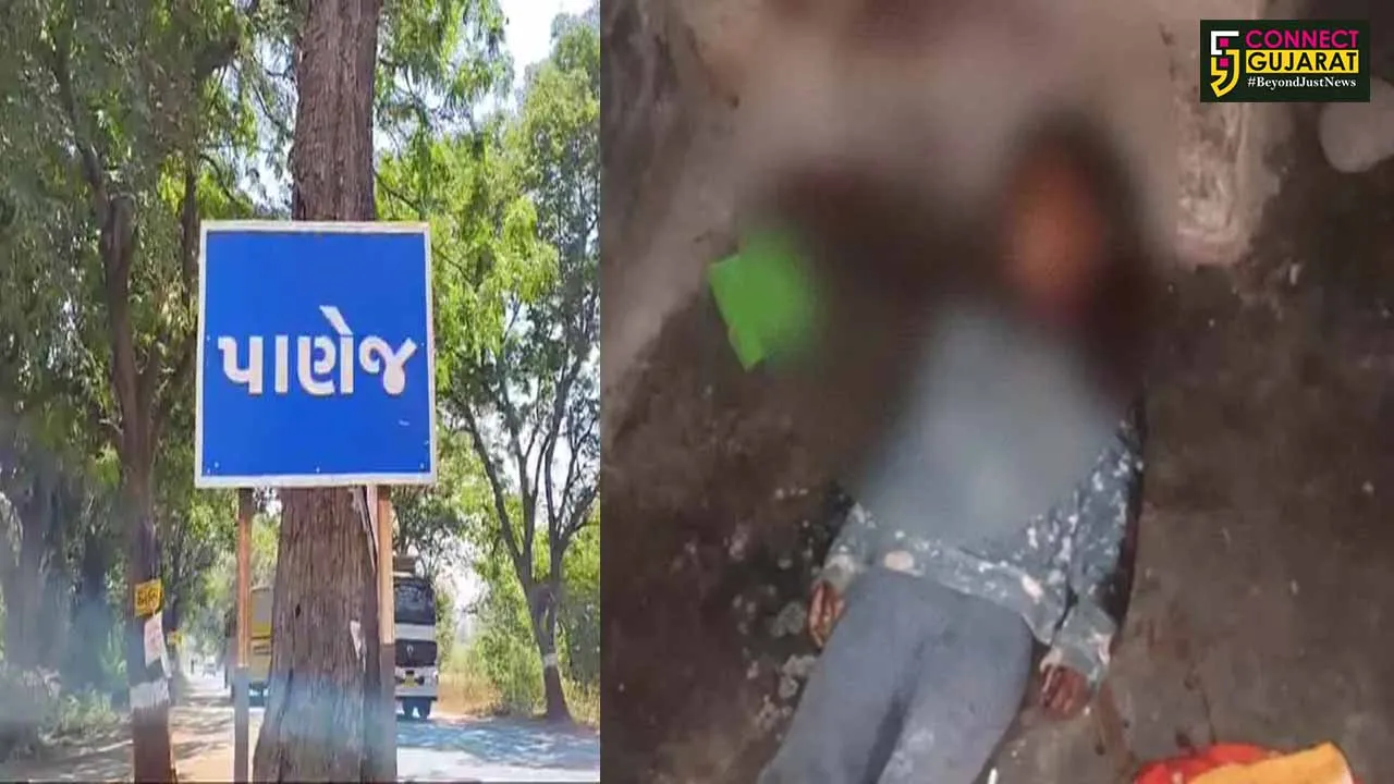 bodeli CHild Murder