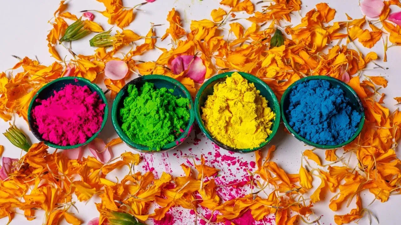 HOLI COLORS 
