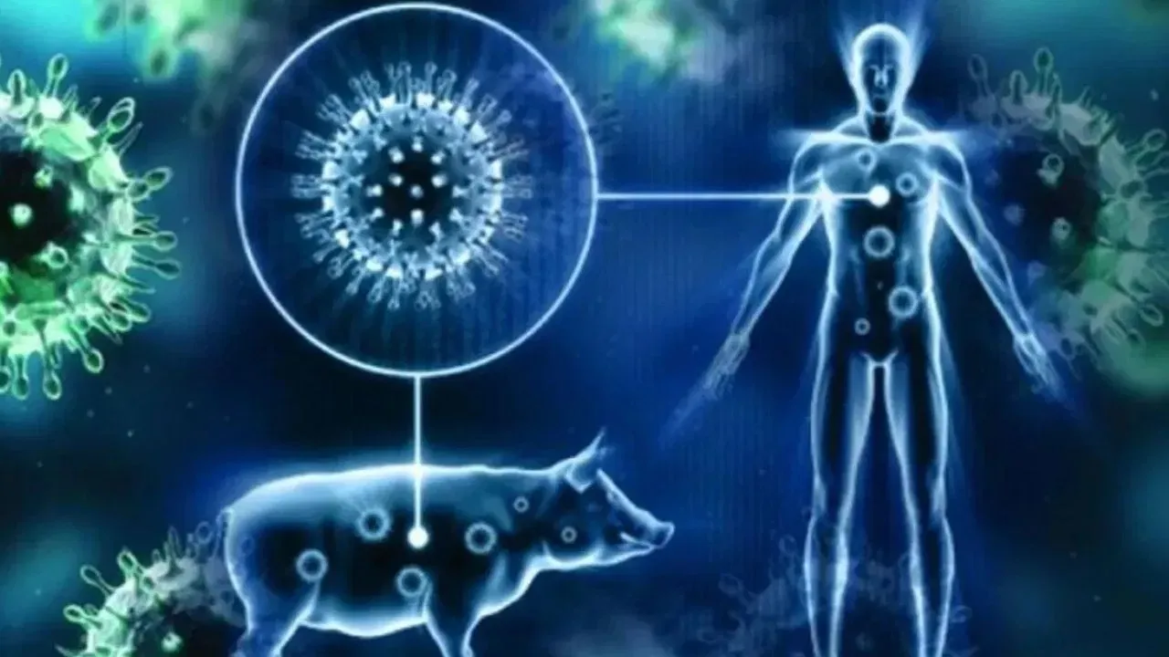 H1N1