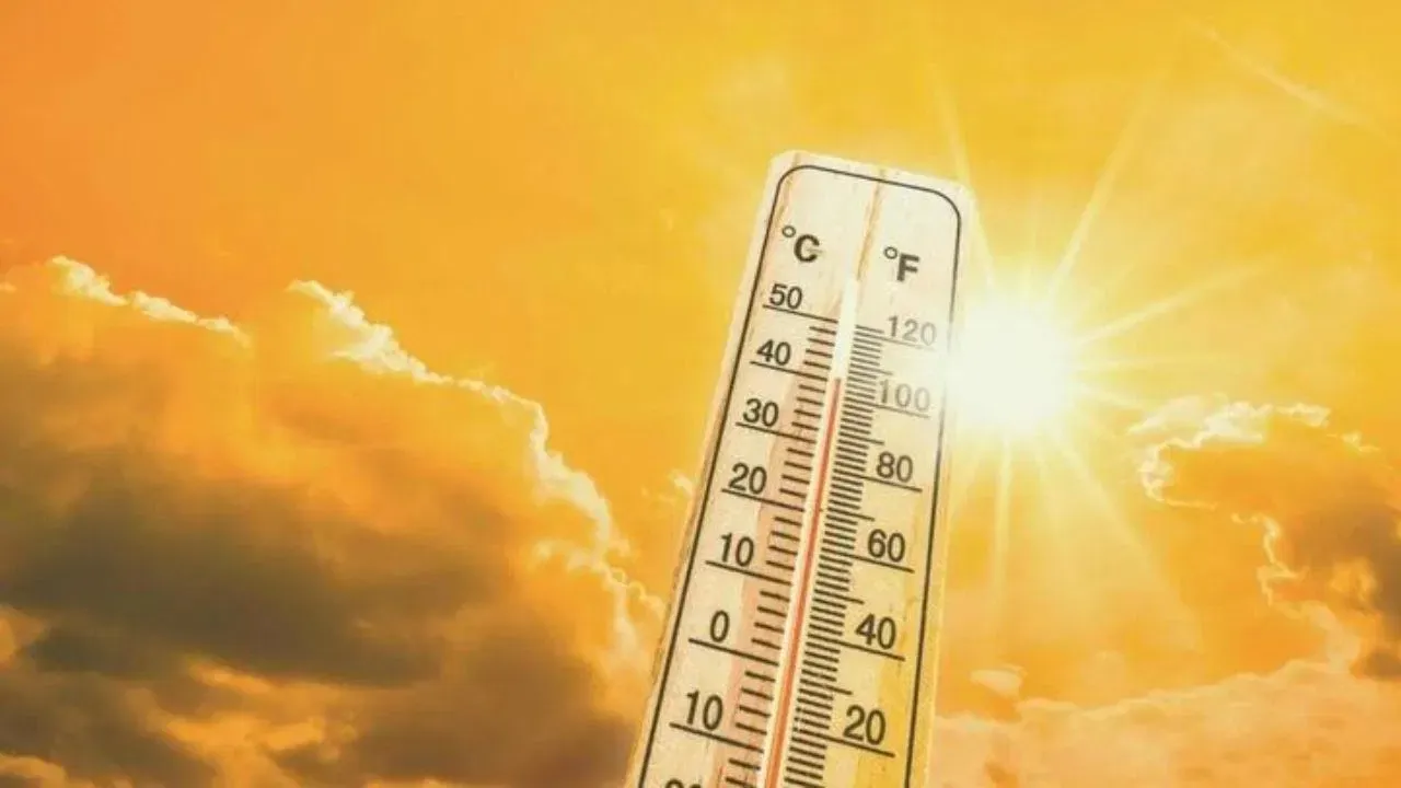 SUMMERS